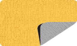 abricot